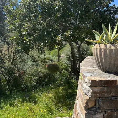 La Corse Entre Et Riviere * Pietracorbara