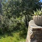 La Corse Entre Et Riviere * Pietracorbara