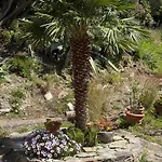 La Corse Entre Et Riviere *