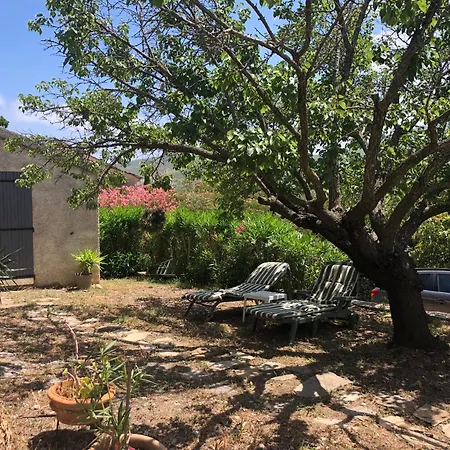 La Corse Entre Et Riviere * Pietracorbara