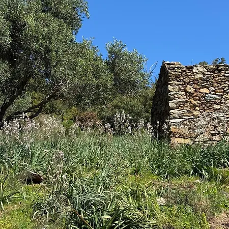 Holiday home La Corse Entre Et Riviere *