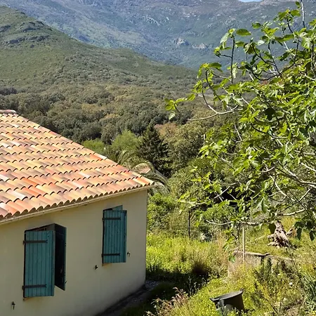 La Corse Entre Et Riviere